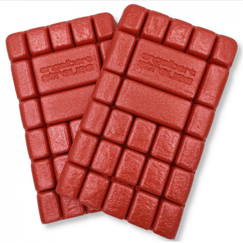 Nakolanniki STRAUSS e.s. Motion