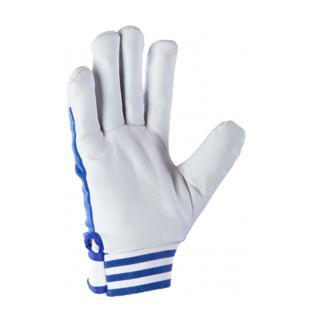 Rękawice CABRA BLUE